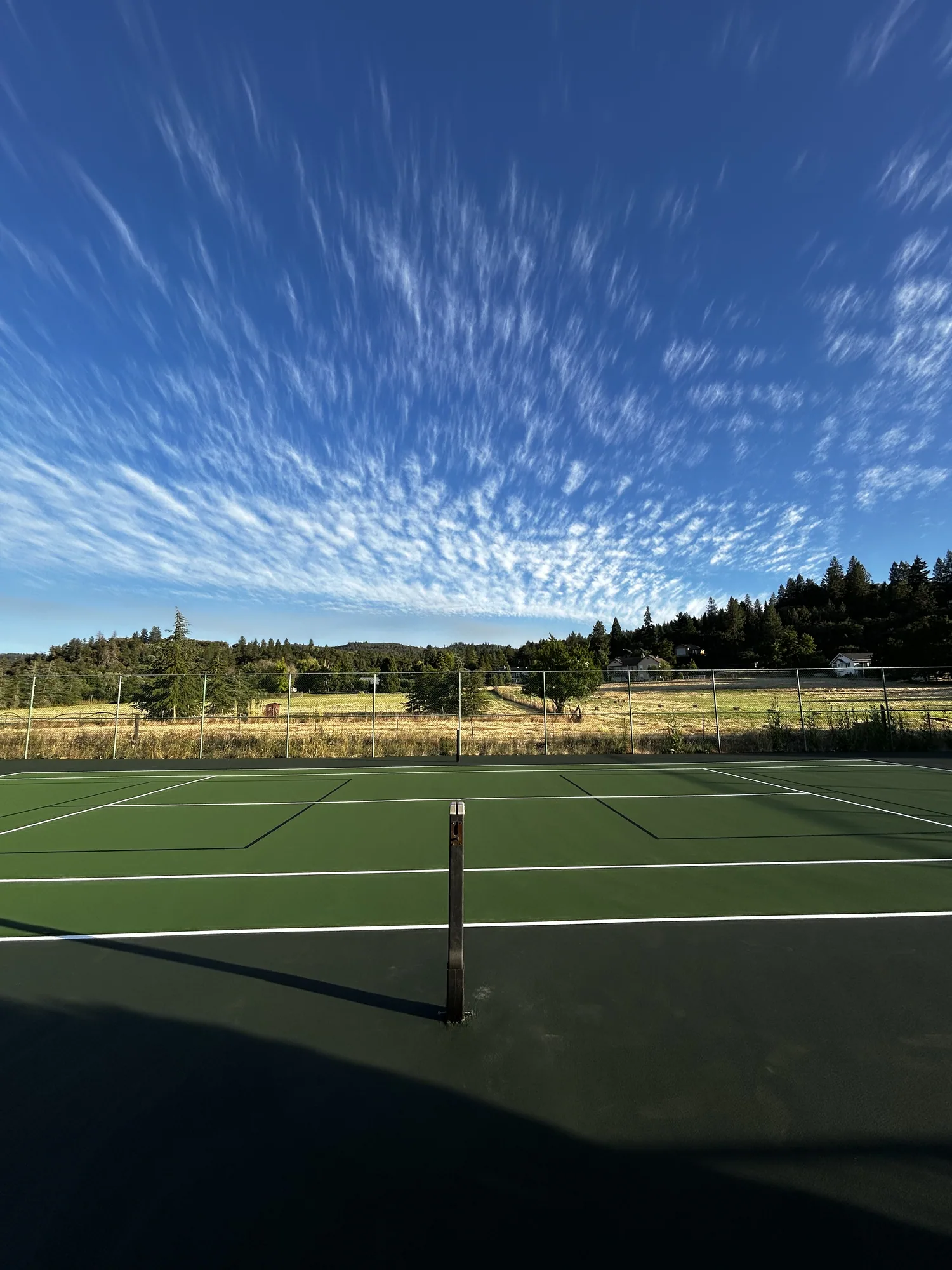 Jackson Tennis Courts — photo 2