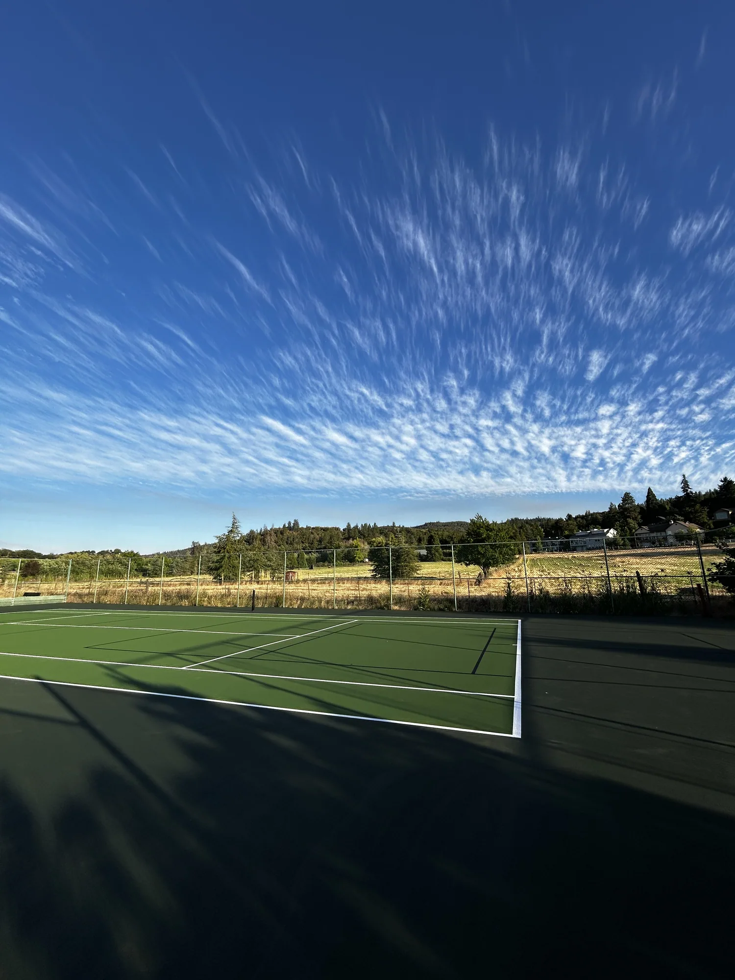 Jackson Tennis Courts — photo 3